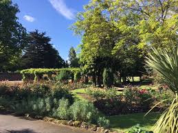 Image result for Bury Lodge Bowls Club