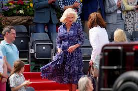 Image result for Chippenham 75 Badminton Club