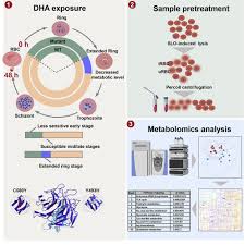 Attēlu rezultāti vaicājumam “Dianema depressum plasmodium”