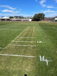 Image result for New Brighton Cricket & Bowling Club