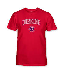 Image result for Dorking Wanderers F C