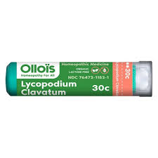 Attēlu rezultāti vaicājumam “Lycopodium clavatum”