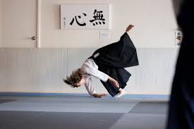 Image result for Newcastle Aikido Club