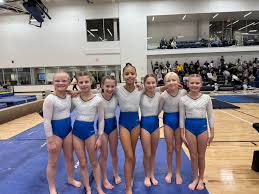 Image result for Sutton At Home Gymnastics Club