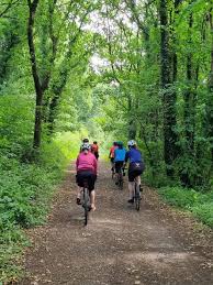 Image result for Mid-Devon Cc