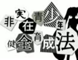 Image result for 非実在青少年