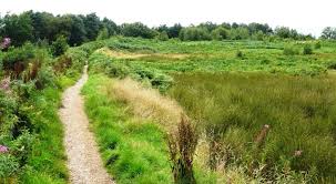 Image result for Cannock Cc