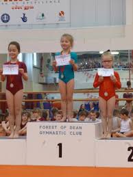 Image result for Forest Of Dean Gymnastics Club