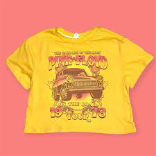 Image result for pink floyd girls