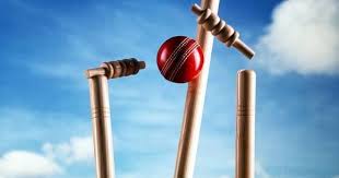 Image result for Oakmere Cricket Club