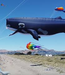 Image result for Brighton Kite Fliers