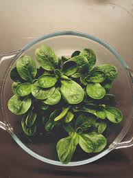 Image result for Feldsalat