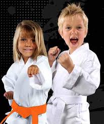 Image result for Championship Martial Arts Winter Springs