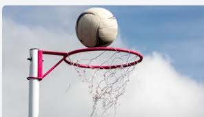 Image result for Raychem Netball Club