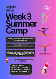 Image result for Harlequins Gymnastics Club