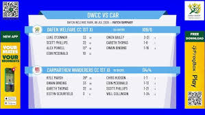 Image result for Carmarthen Wanderers Cricket Club