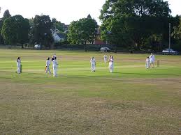 Image result for Thorpe Green Cricket Club