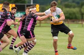 Image result for Stirling Wolves
