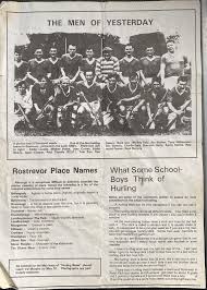 Image result for Rostrevor Hurling Club