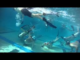 Image result for Great Yarmouth Octopush Club