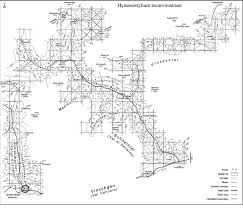 Attēlu rezultāti vaicājumam “Hymenostylium recurvirostrum macro”