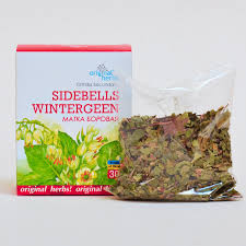 Attēlu rezultāti vaicājumam “Orthilia secunda fruit”