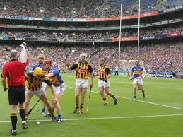 Image result for hurling