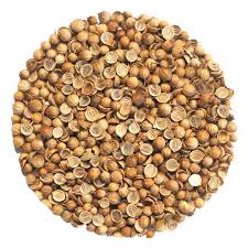 Image result for Koriander