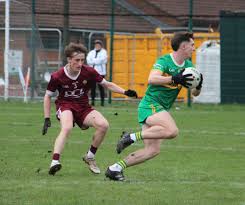 Image result for Tara Gfc