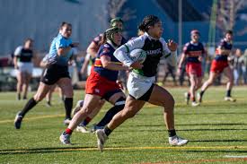 Image result for Worcester Rugby Football Club