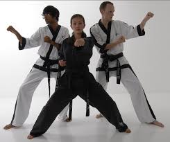 Image result for Beaconsfield Bytomic Taekwondo