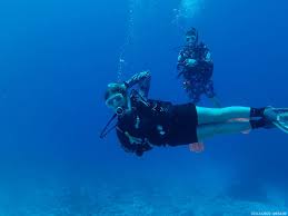 Image result for innerspace divers