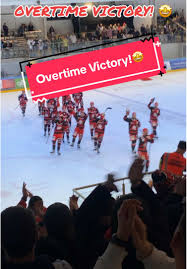 Image result for Swindon Panthers