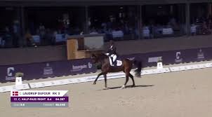 Image result for Interfreestyle Sport Karate