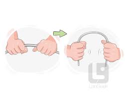 Image result for flex