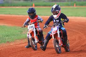 Image result for Ayr Riding Club
