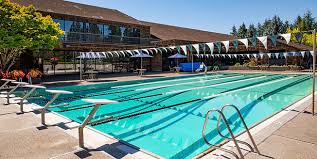 Image result for Haywards Heath Swimming Club