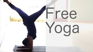 Image result for Hatha Yoga Club