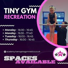 Image result for Harrogate School Of Gymnastics