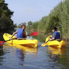 Image result for Stour Valley Canoe Club
