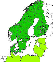 Attēlu rezultāti vaicājumam “Colymbetes paykulli”