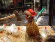 get it) on the bird flu - via Daymix