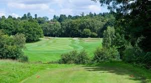 Image result for Dorking Lawn Tennis Club