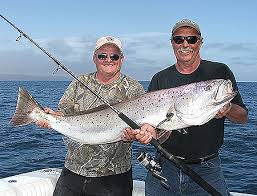 Image result for Cynoscion nebulosus