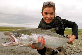 Image result for Salmo salar