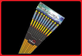 Image result for Blackpool Raiders