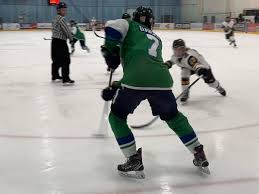 Image result for Ash Avalanche Skater Hockey Club