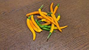 Afbeeldingsresultaat voor thai yellow hot pepper