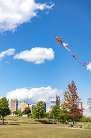 Image result for City Of Birmingham Sc