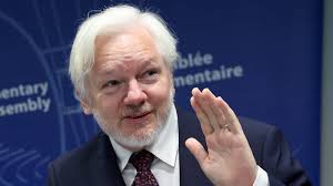 Image result for julian assange